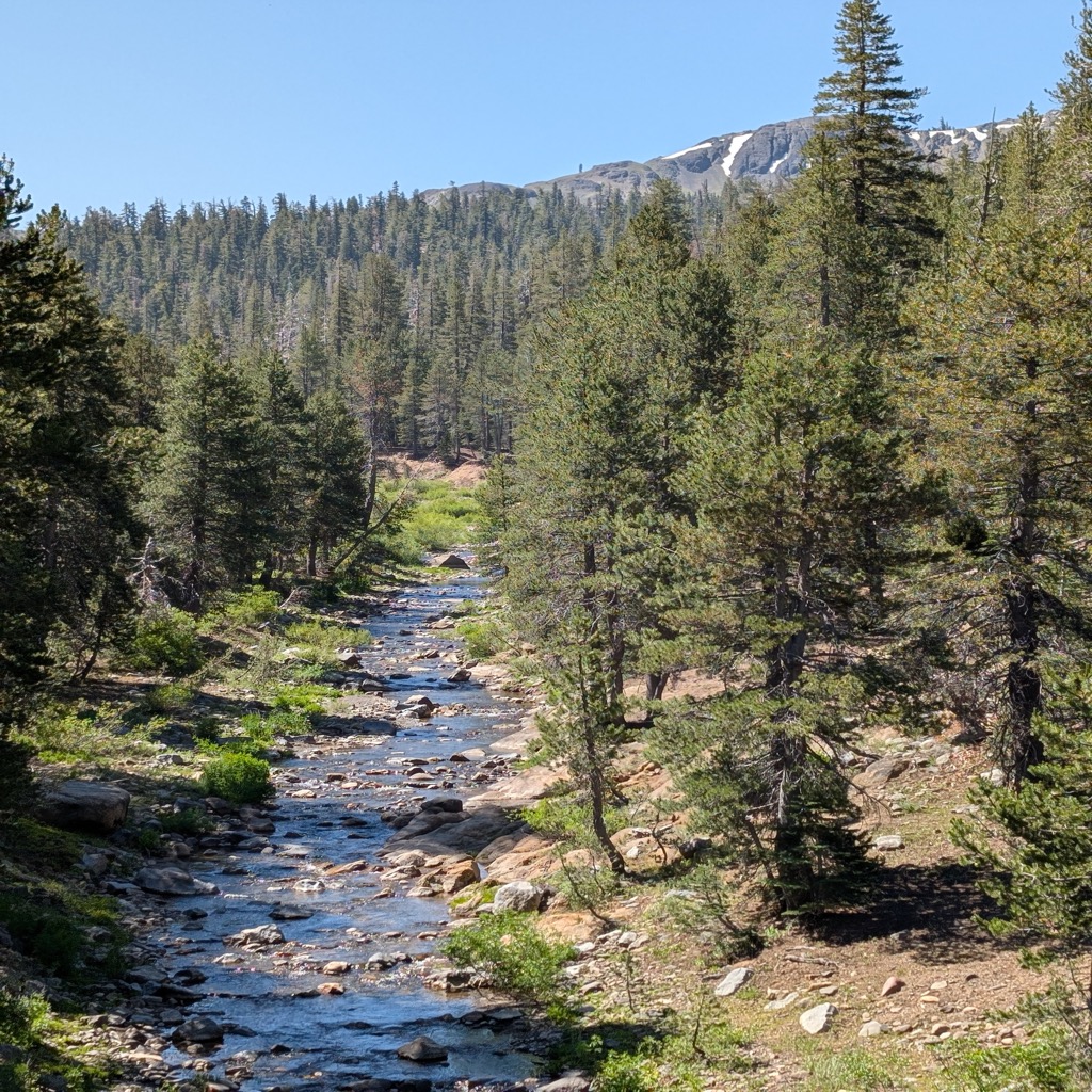 Our friendly local electrician team